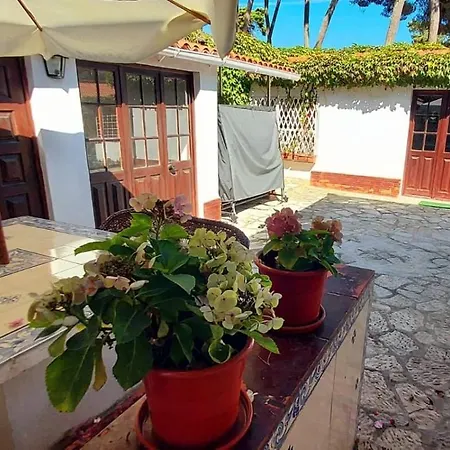 빌라 Charming 3 Bedroom House With Bbq And Terrace