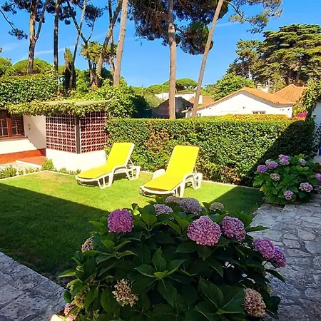 Villa Charming 3 Bedroom House With Bbq And Terrace Colares