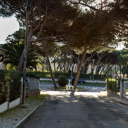 Villa Charming 3 Bedroom House With Bbq And Terrace
